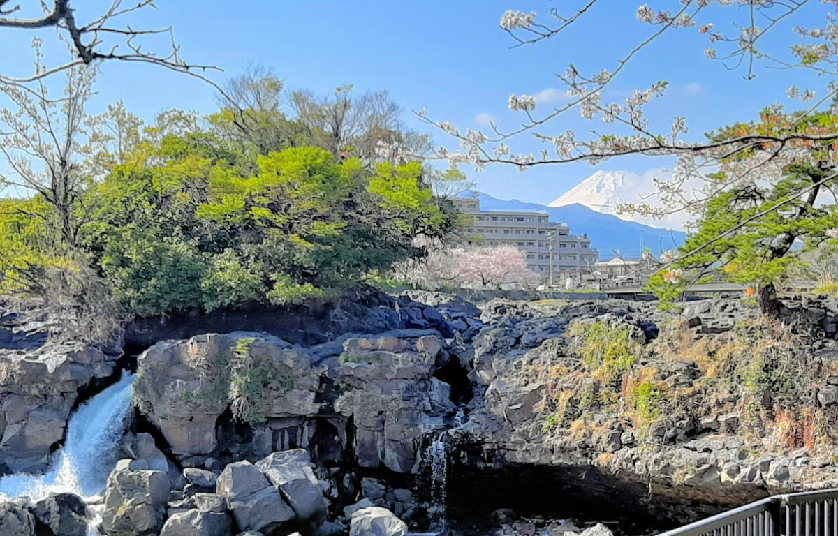 ごみの出し方